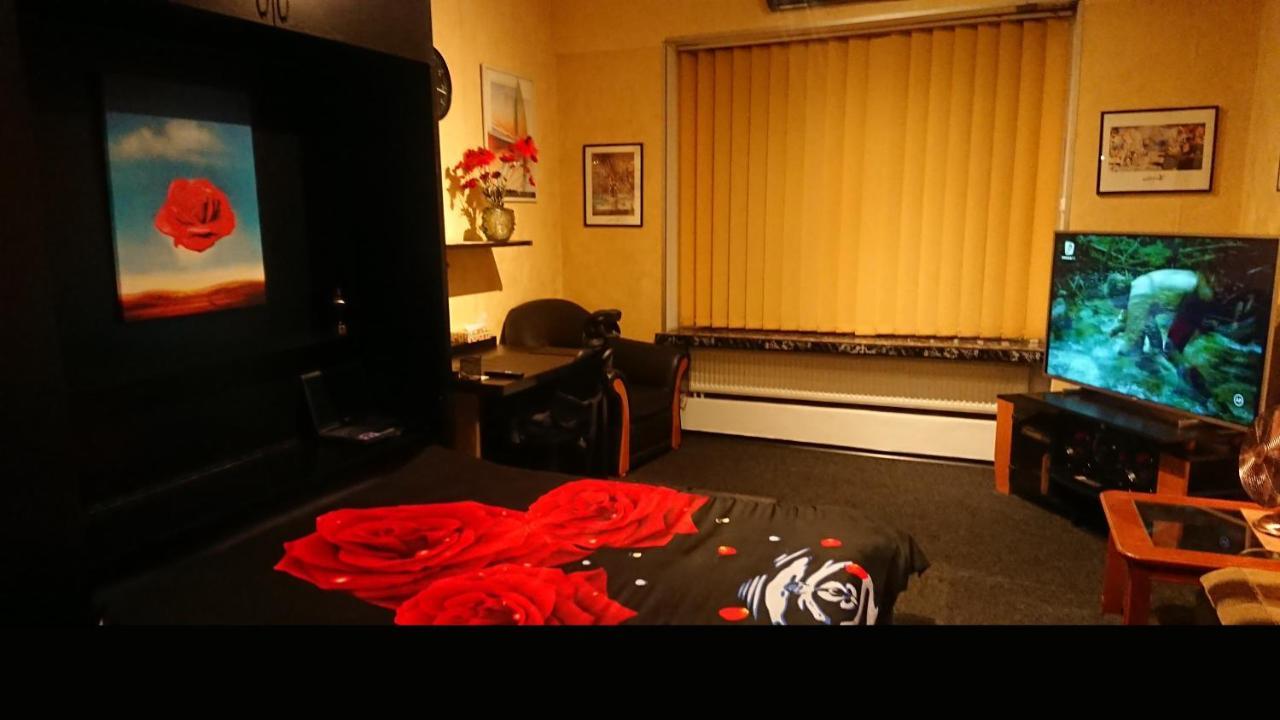 Rompromo Plus Accommodation 부쿠레슈티 외부 사진